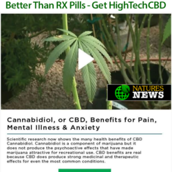How CBD works (cannabinoids)