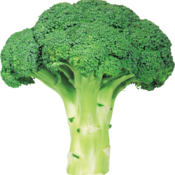 Broccoli Health Benefits (DIM)